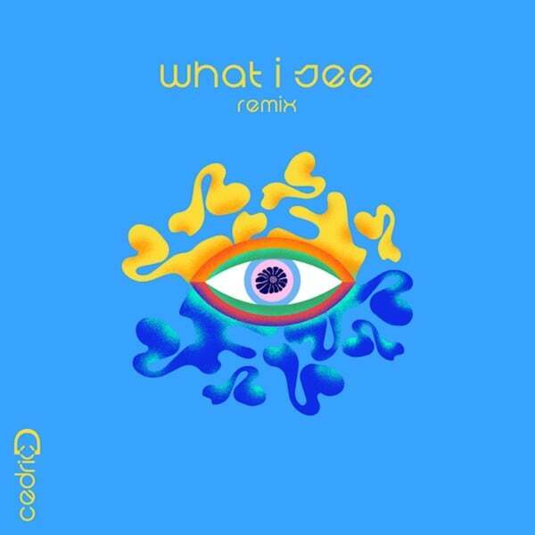 Cover art for What I See Remix