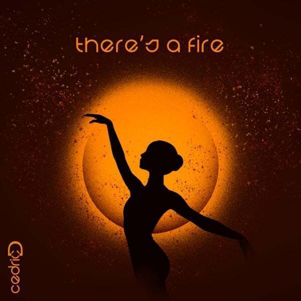 Cover art for There's a Fire