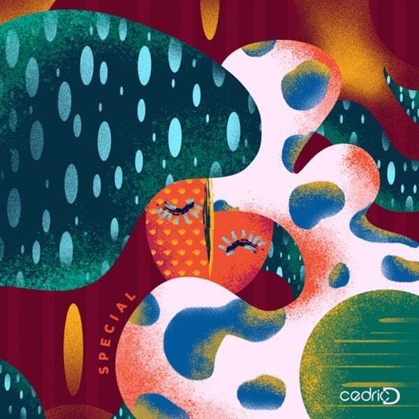 Cover art for Special