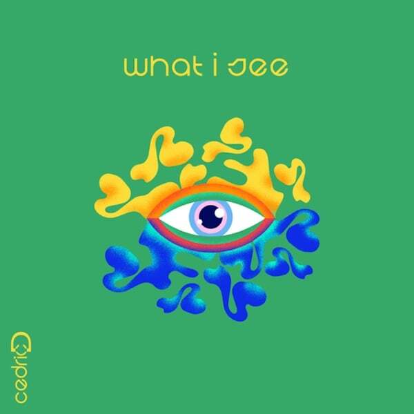 Cover art for What I See